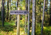 Näin löydät deittiseuraa tänä kesänä